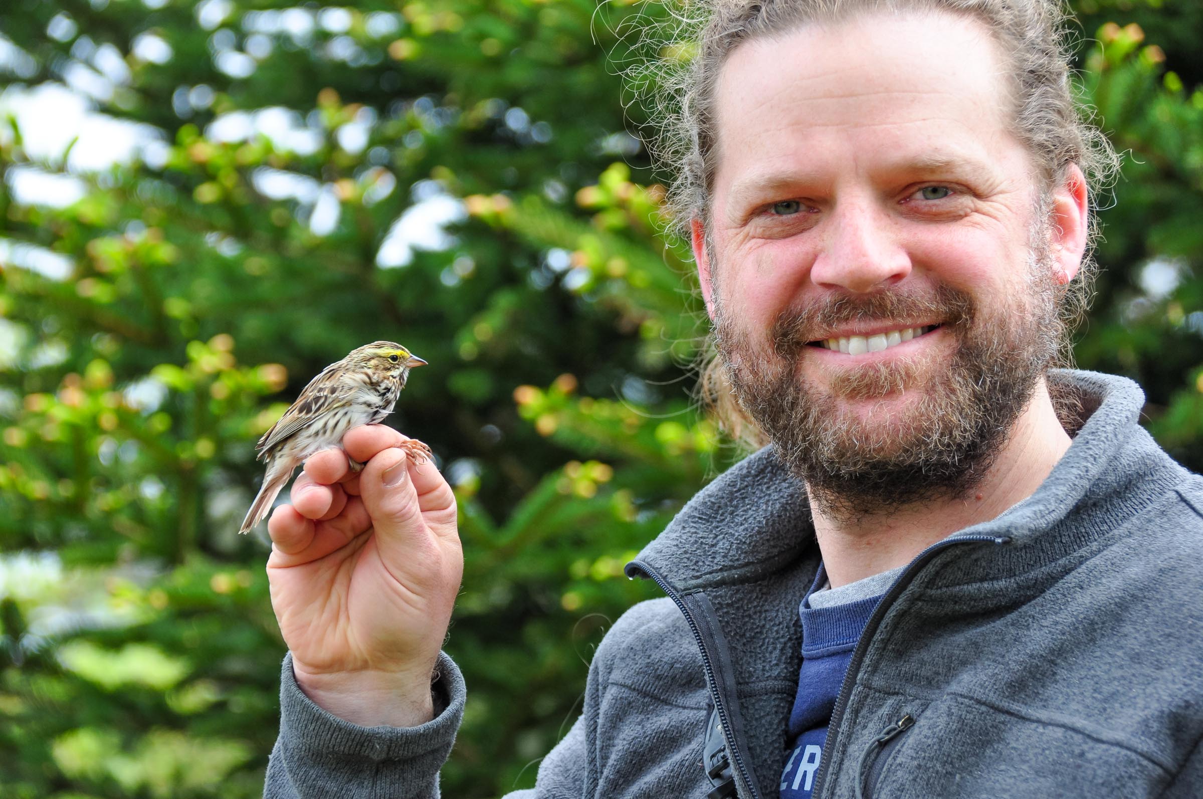 Eavesdropping on the missing migrants: Night flight calls and new acoustic methods for tracking bird migration