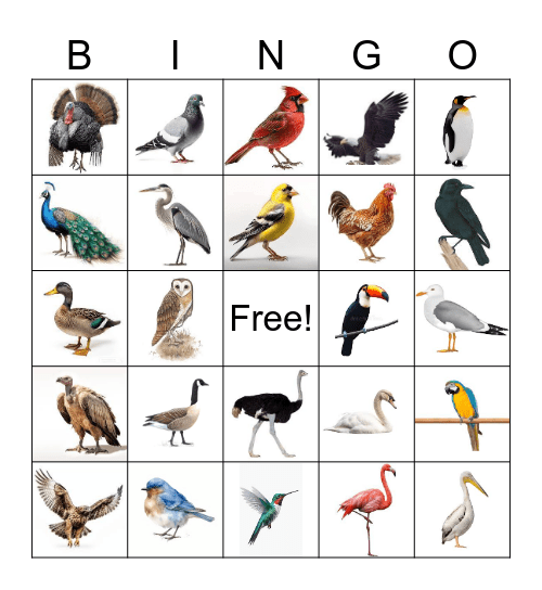 Bird Bingo