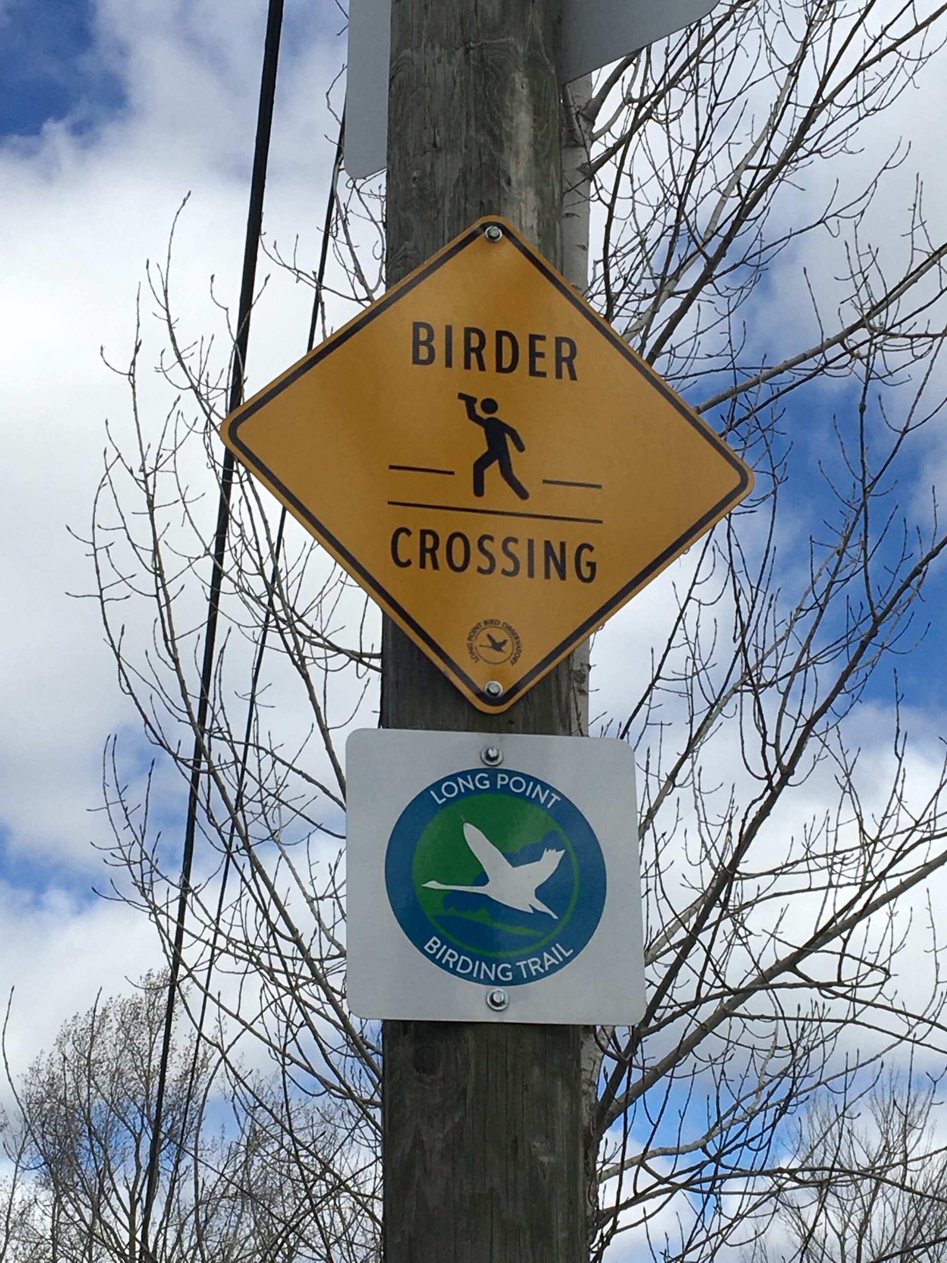 Field Trip: Long Point Bird Observatory and Area