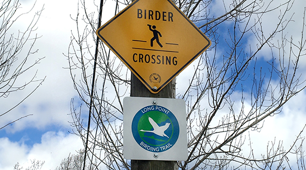 Field Trip: Long Point Bird Observatory and Area