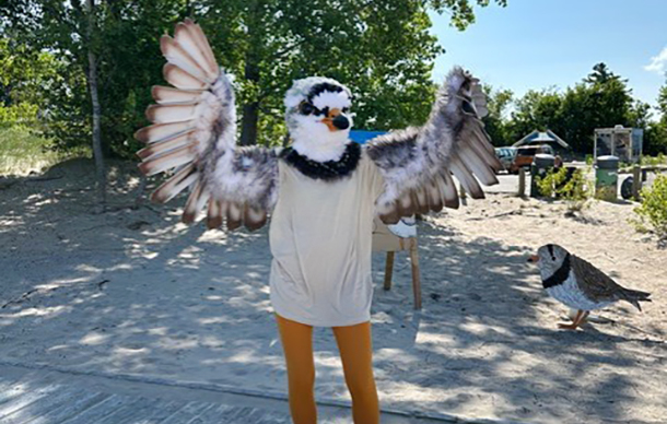 Little Bird, Big World – Piping Plover Conservation in Ontario