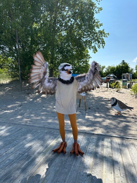 Little Bird, Big World - Piping Plover Conservation in Ontario