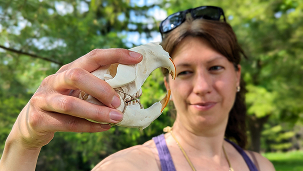 Beaver Walk: Discovering Nature’s Wetland Builders