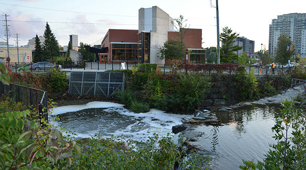 What Do Urban Rivers Want and How Can We Help Them?