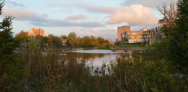 Nature-Based Solutions to Climate Change in Ontario Municipalities